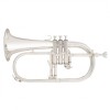 JP175 Flugel Horn