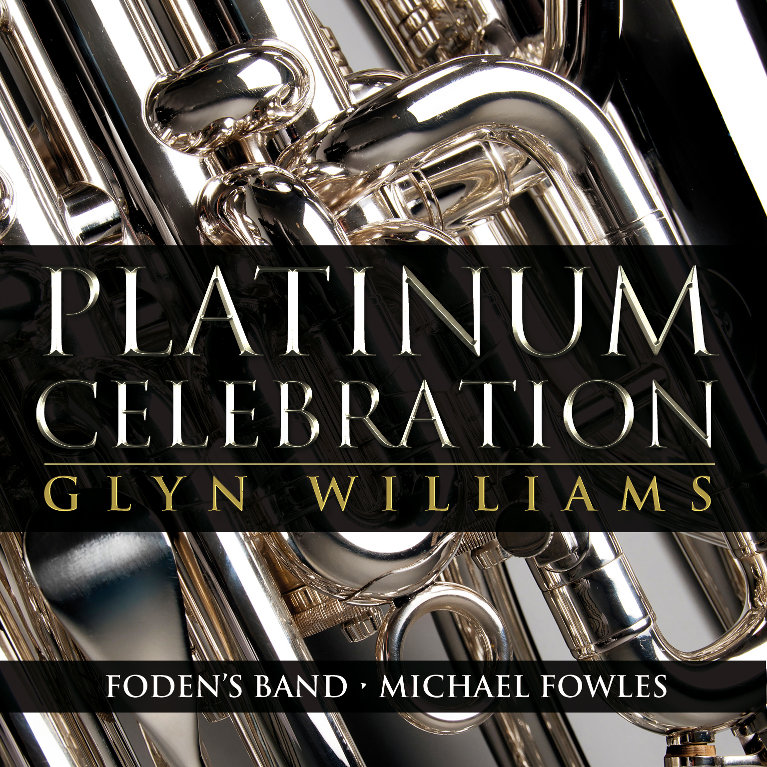 Platinum Celebration - Download